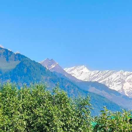 Melody Orchard Cottage Jagatsukh Dış mekan fotoğraf